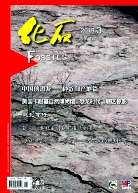 化石雜志 