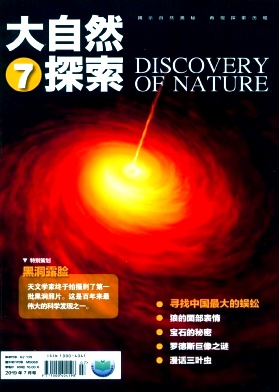 大自然探索雜志 